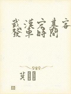 武汉宏基客运站发车时间