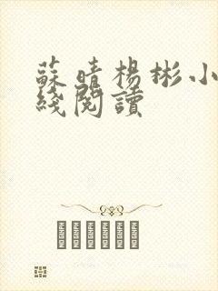 苏晴杨彬小说在线阅读 苏晴杨彬小说在线阅读