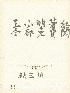 王小明萧红小说全部免费阅读