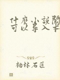 什么小说阅读器可以导入本地的书籍