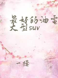 最好的油电混动大型suv