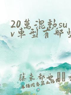 20万混动suv车型有哪些