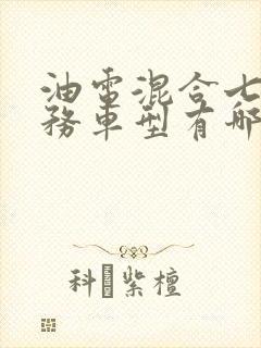 油电混合七座商务车型有哪些