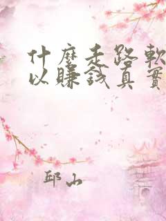 什么走路软件可以赚钱真实可靠