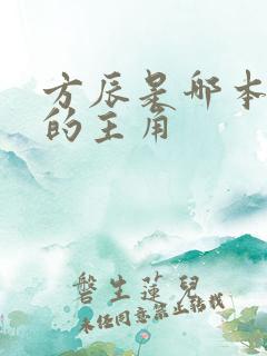 方辰是哪本小说的主角