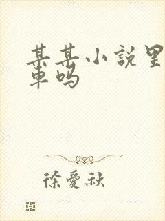 某某小说里面有车吗