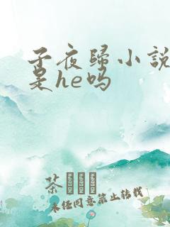 子夜归小说结局是he吗