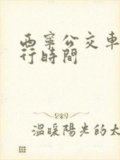 西宁公交车道限行时间