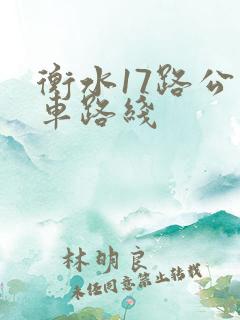 衡水17路公交车路线