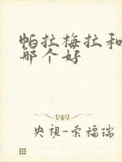 帕拉梅拉和卡宴哪个好