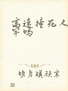 高速撞死人要坐牢吗