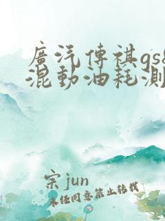广汽传祺gs8混动油耗测评