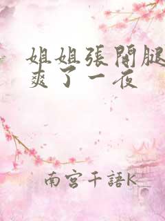 姐姐张开腿让我爽了一夜