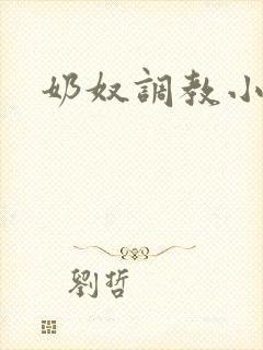 奶奴调教小说