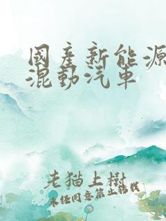 国产新能源油电混动汽车