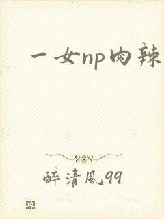 一女np肉辣文 一女np肉辣文