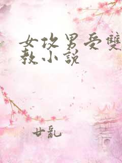 女攻男受双性调教小说