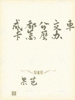 成都公交车老年卡怎么办