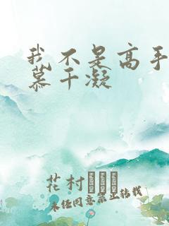 我不是高手李凡慕千凝