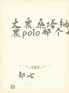 大众桑塔纳和大众polo哪个好