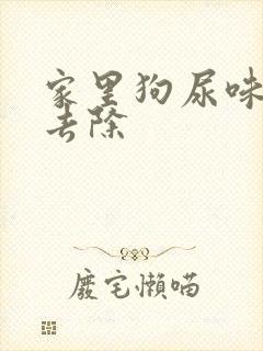 家里狗尿味怎么去除