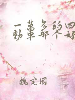 一万多的四轮电动车哪个好
