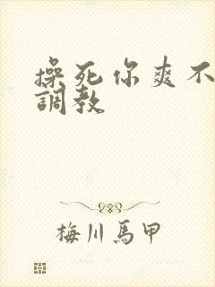 操死你爽不爽h调教