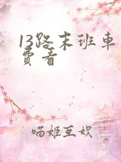 13路末班车免费看 13路末班车免费看