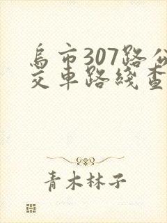 乌市307路公交车路线查询 乌市307路公交车路线查询