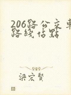 206路公交车路线站点