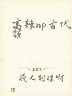 高辣np古代小说