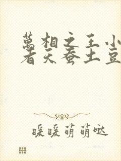 万相之王小说作者天蚕土豆 万相之王小说作者天蚕土豆