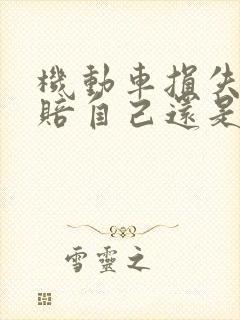 机动车损失险是赔自己还是赔别人