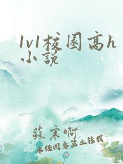 1v1校园高h小说