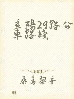 阜阳29路公交车路线