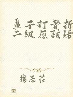 鼻子打骨折轻伤二级应该赔偿多少钱