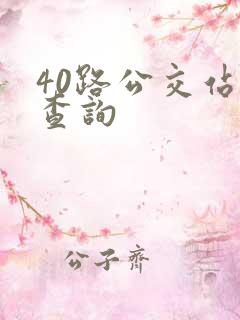 40路公交站点查询