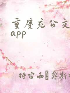 重庆充公交卡的app