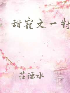 甜宠文一对一