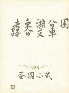去东湖公园坐几路公交车