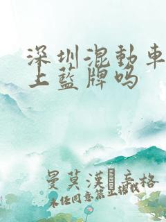 深圳混动车可以上蓝牌吗