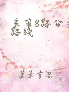 阜宁8路公交车路线