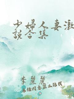 少妇人妻激情小说合集