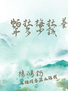 帕拉梅拉养车一年多少钱