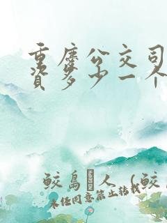 重庆公交司机工资多少一个月