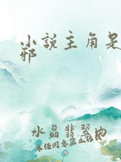 小说主角是柳无邪
