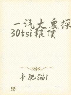 一汽大众探岳330tsi报价