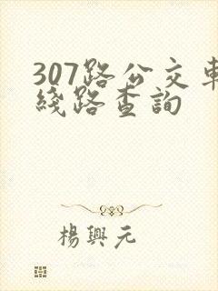 307路公交车线路查询