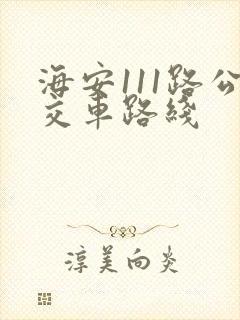 海安111路公交车路线
