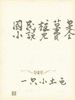 国民校草是女生小说免费全集